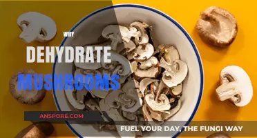 Dehydrating Mushrooms: A Smart Way to Store and Cook