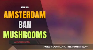Amsterdam Bans Magic Mushrooms: The Reason Why