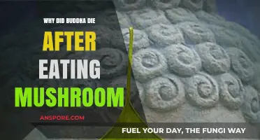 Did a Mushroom Meal Cause Buddha's Death? Exploring the Legend