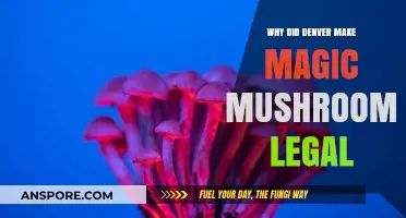 Denver's Bold Move: Legalizing Magic Mushrooms for Mental Health