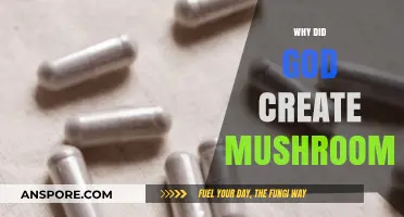 God's Mushrooms: A Whimsical Creation Story