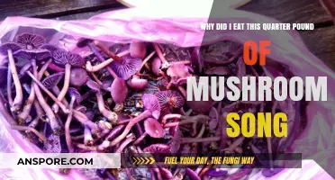 Why Did I Eat a Quarter Pound of Mushrooms? The Song Explained
