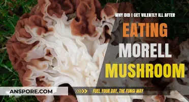 Morel Mushroom Misadventure: Understanding Sudden Violent Illness After Consumption