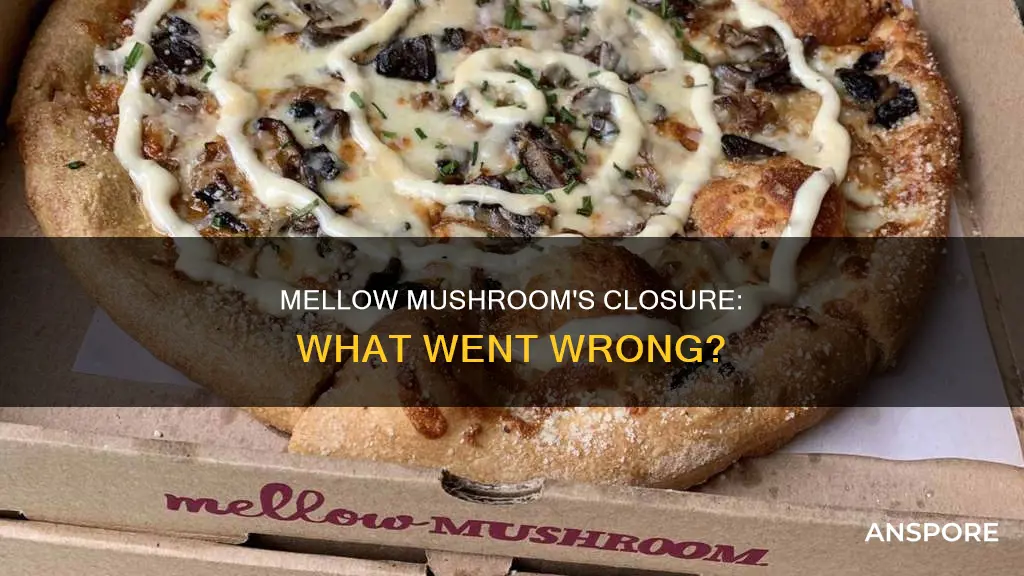 why did mellow mushroom close