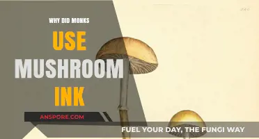 Ancient Secrets: Why Monks Chose Mushroom Ink for Manuscripts