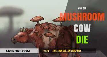 Mushroom Cow's Demise: Unveiling the Mystery