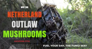 Dutch Mushroom Ban: Outlawing Psychedelic Fungi in Netherlands