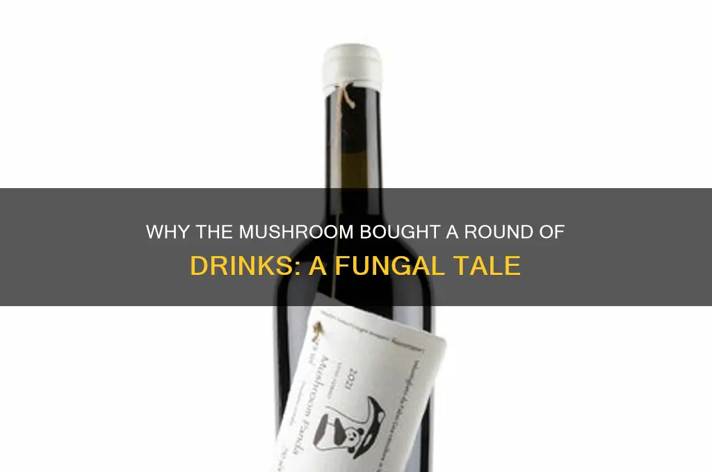 why did the mushroom buy a round of drinks