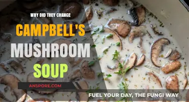Why Campbell's Changed Their Classic Mushroom Soup Recipe: Explained