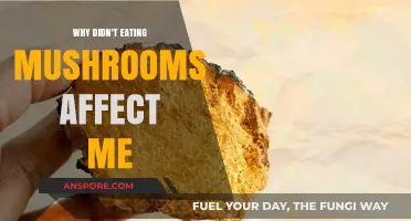 Mushrooms and Me: Why Didn't I Feel Any Effects?