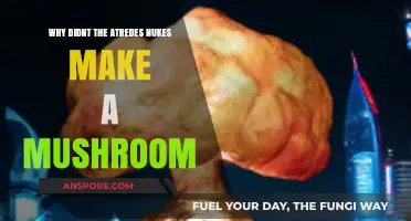 Why Artrede's Nukes Failed to Create a Mushroom Cloud