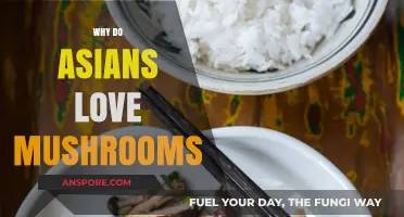 Mushroom Enthusiasm in Asian Cuisine and Culture