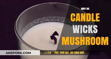 The Mystery of Mushrooming Candle Wicks Unveiled