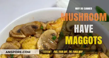 Why Canned Mushrooms Sometimes Contain Maggots: Causes and Prevention