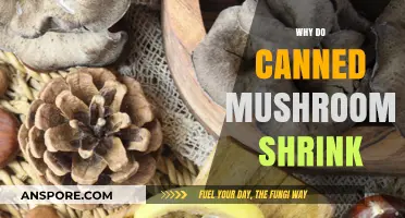 Why Canned Mushrooms Shrink: Understanding the Canning Process