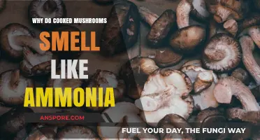 Why Cooked Mushrooms Emit Ammonia-Like Odor: Unraveling the Mystery