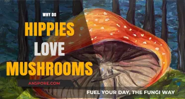 Exploring the Mushroom Obsession in Hippie Culture