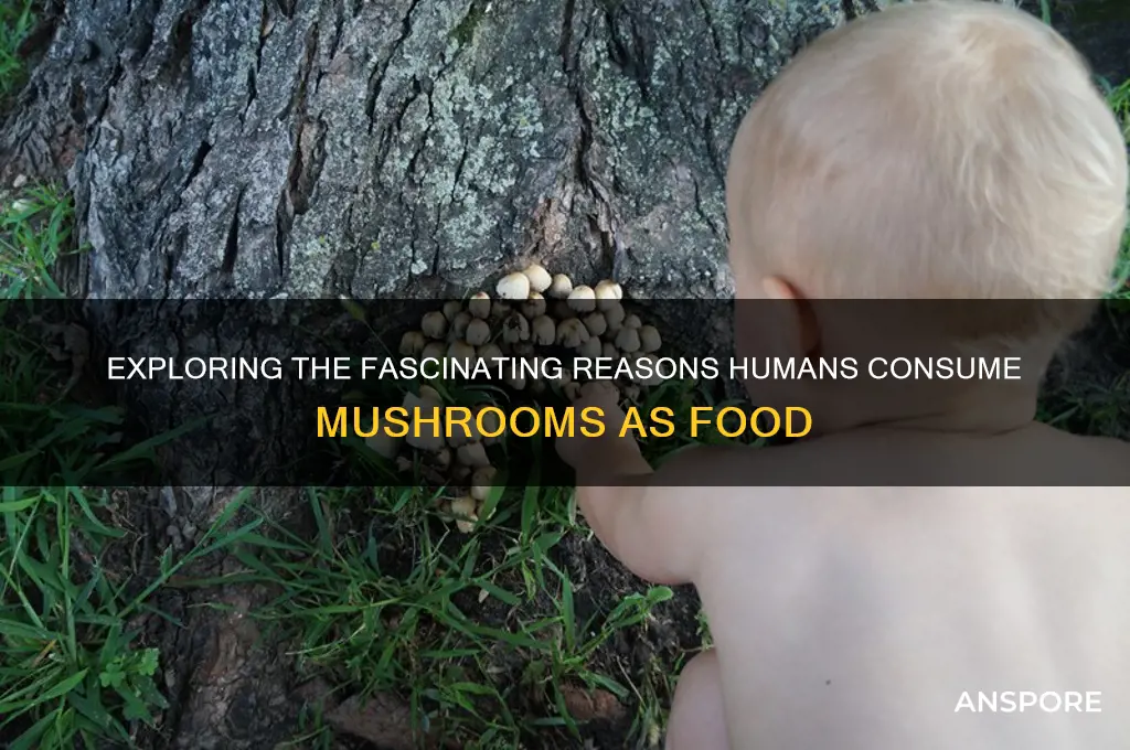 why do humans eat mushrooms