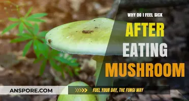 Feeling Sick After Eating Mushrooms? Possible Causes and Solutions
