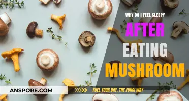 Post-Meal Slumber: Unraveling Mushroom-Induced Sleepiness Causes and Remedies