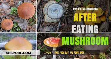 Mushroom Meals and Digestive Woes: Unraveling Post-Meal Diarrhea Causes