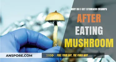 Stomach Cramps After Eating Mushrooms: Causes and Solutions Explained