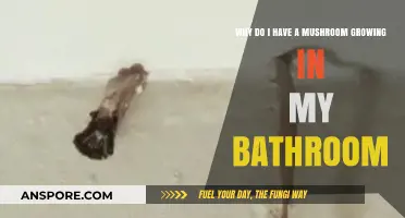 Unwanted Fungi: Understanding Why Mushrooms Grow in Your Bathroom