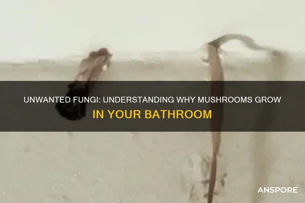 why do i have a mushroom growing in my bathroom