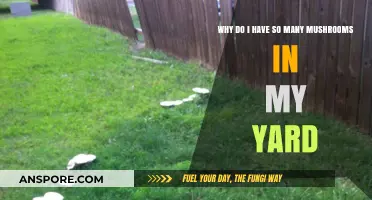 Mushroom Invasion: Understanding the Sudden Growth in Your Yard