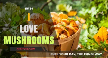 Mushrooms: My Culinary Obsession Explained