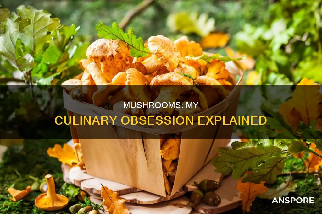 why do i love mushrooms