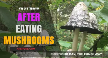 Mushroom Meals Making You Sick? Understanding Post-Meal Nausea Causes