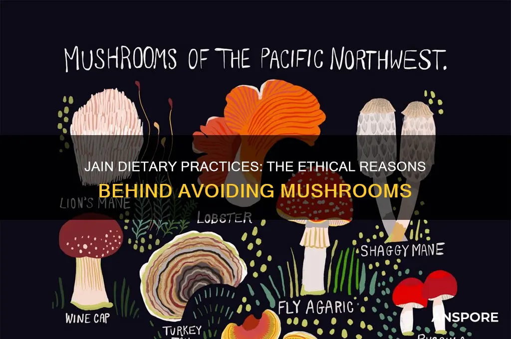 why do jains not eat mushrooms