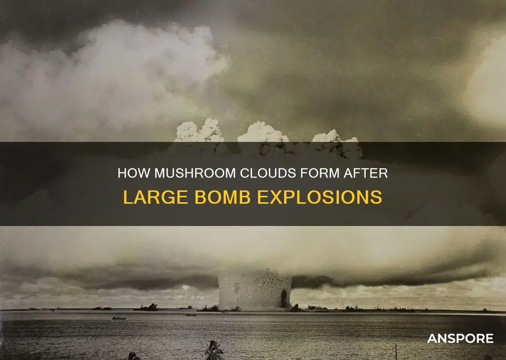 why do large bombs mushroom
