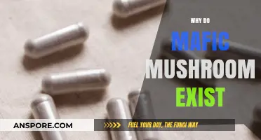 Magic Mushrooms: Nature's Mystery, Explained