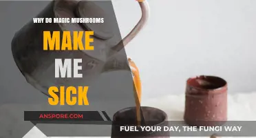 Why Magic Mushrooms Cause Nausea: Understanding Psilocybin Side Effects