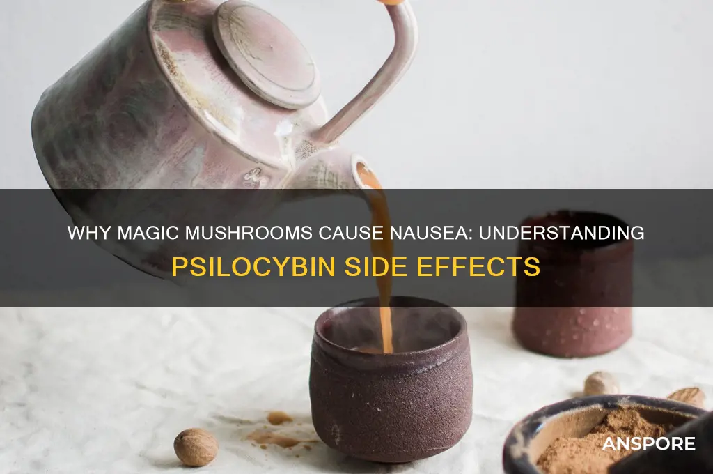 why do magic mushrooms make me sick