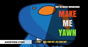 Why Magic Mushrooms Trigger Yawning: Exploring the Psychedelic Connection