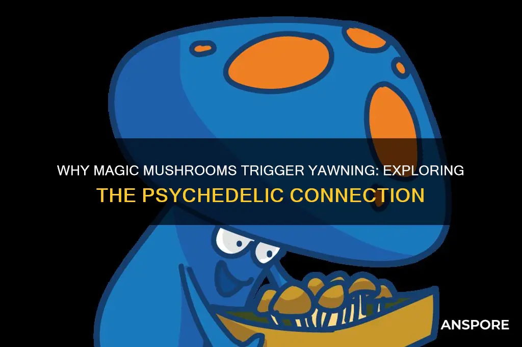 why do magic mushrooms make me yawn