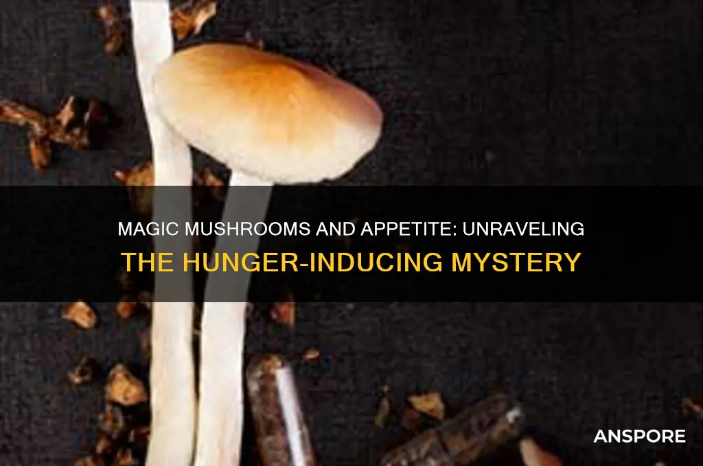 why do magic mushrooms make you hungry