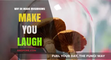 Why Magic Mushrooms Induce Laughter: Exploring the Psychedelic Science