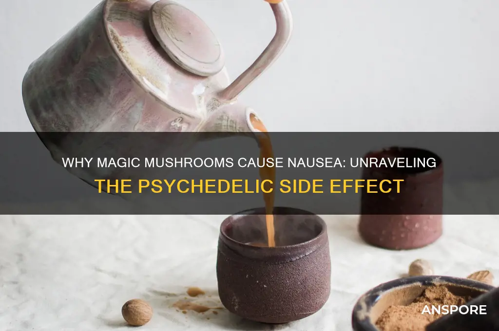 why do magic mushrooms make you nauseous