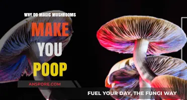 Magic Mushrooms and Digestion: Unraveling the Poop Mystery