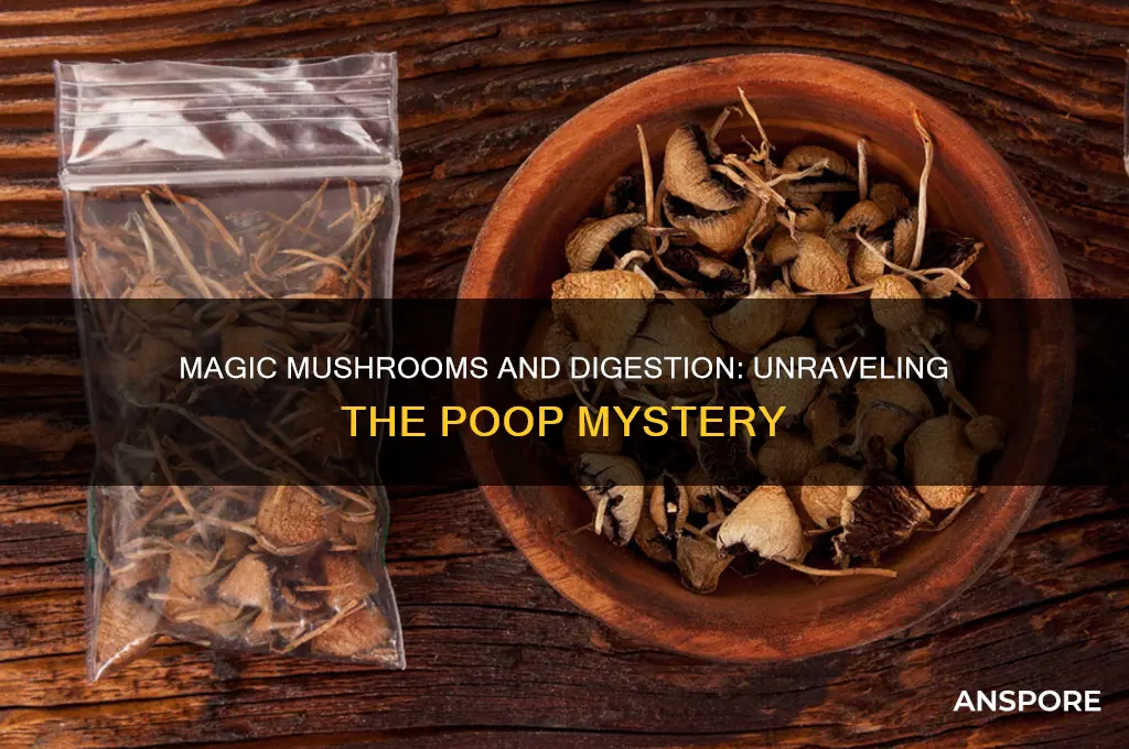 why do magic mushrooms make you poop