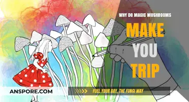 Unveiling the Psychedelic Science Behind Magic Mushroom Trips