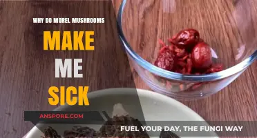 Why Morel Mushrooms Cause Digestive Discomfort: Unraveling the Mystery