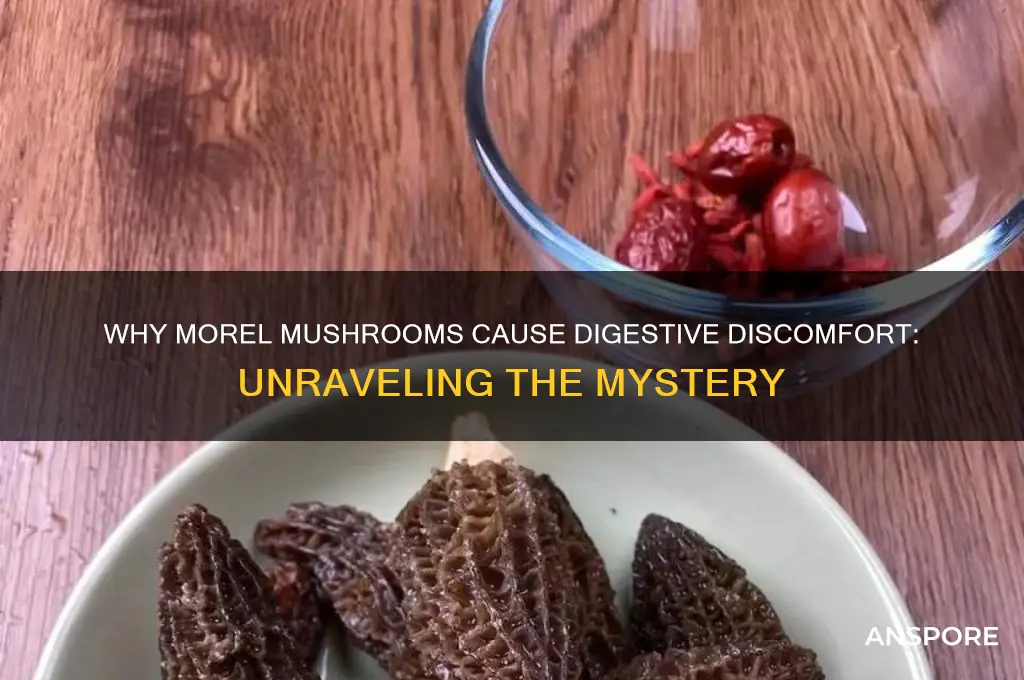 why do morel mushrooms make me sick