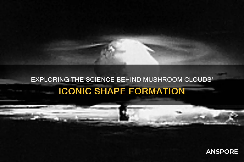 why do mushroom clouds make their shape