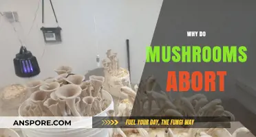 Mushroom Cultivation: Understanding Abort Reasons