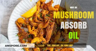 Mushrooms' Magical Oil Absorbing Properties Explained